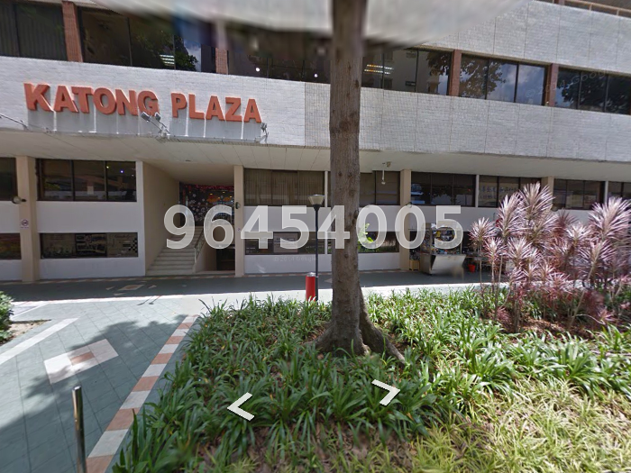 KATONG PLAZA (D15), Retail #5172182